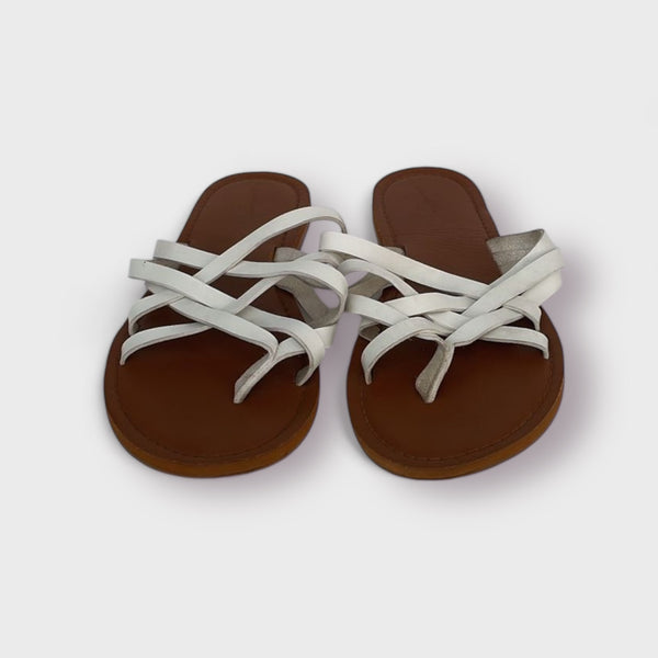 UNIVERSAL THREAD - BROWN/WHITE